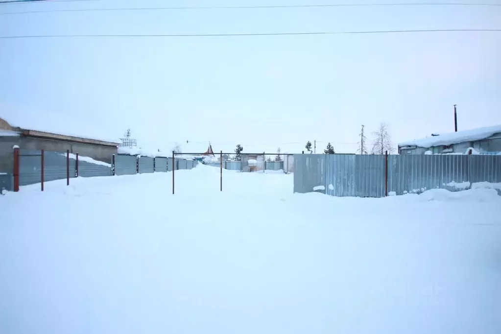 Участок в Ямало-Ненецкий АО, Новый Уренгой Простоквашино дачный ... - Фото 0