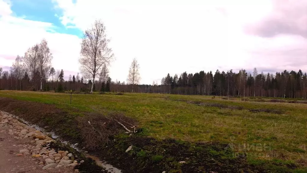 Участок в Ленинградская область, Приозерский район, Раздольевское ... - Фото 1