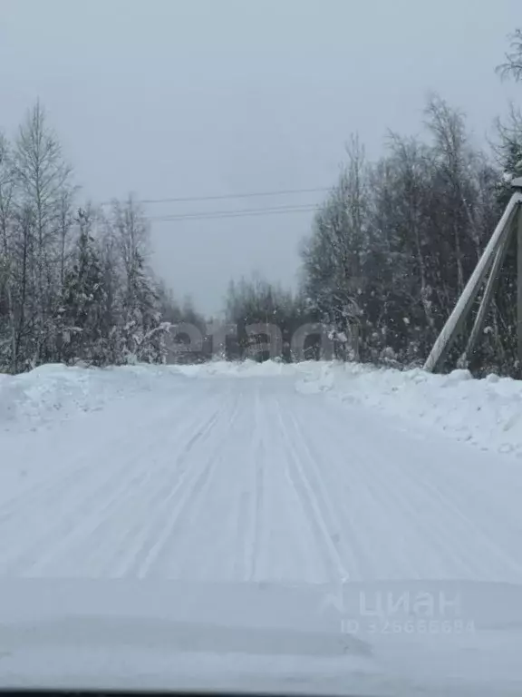 Дом в Владимирская область, Гусь-Хрустальный муниципальный округ, пос. ... - Фото 2