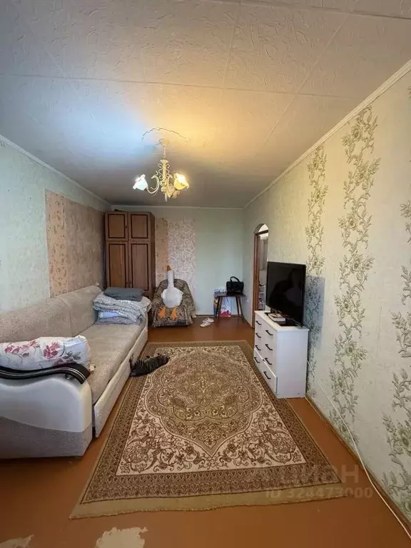 1-к кв. Оренбургская область, Оренбург Кольцевая ул., 9 (31.0 м) - Фото 2