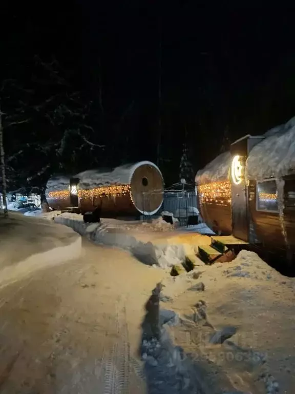 Дом в Нижегородская область, Городецкий муниципальный округ, Большой ... - Фото 2