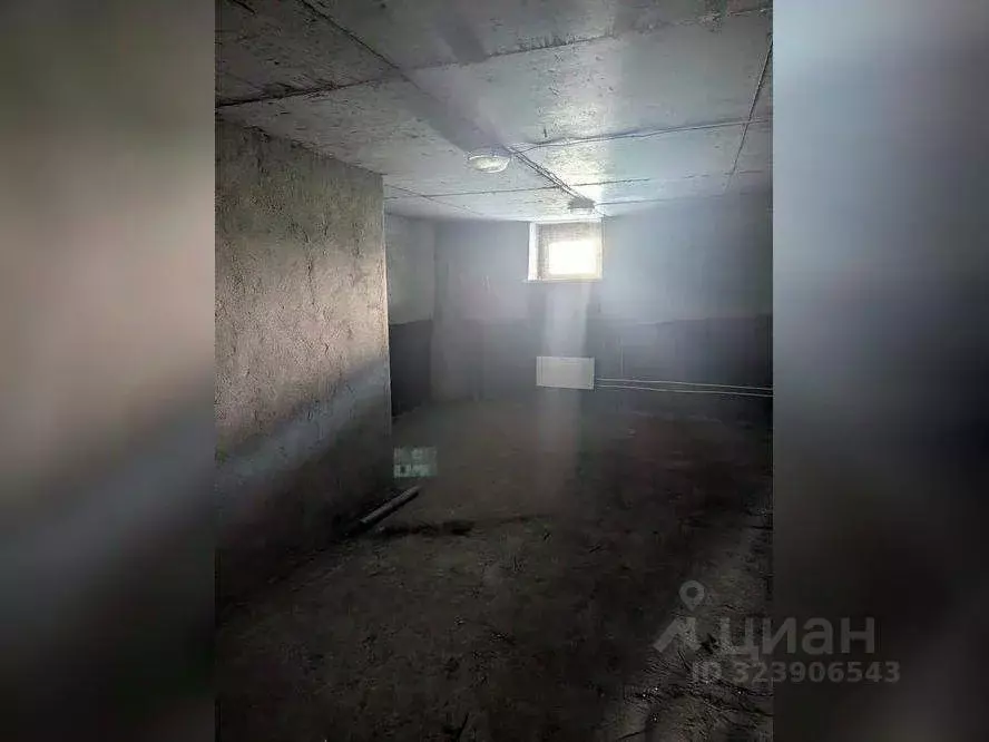 Помещение свободного назначения в Новосибирская область, Новосибирский ... - Фото 2