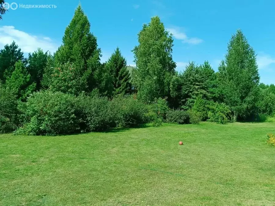 Участок в Ордынский район, село Новопичугово (6 м) - Фото 1