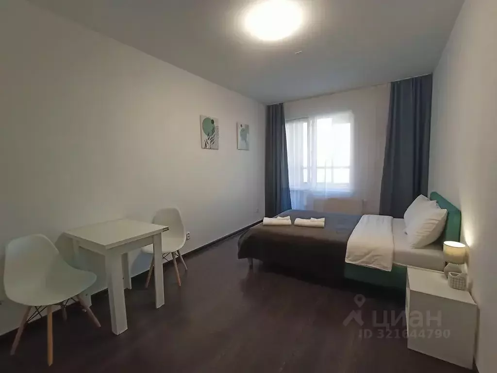 Студия Санкт-Петербург просп. Буденного, 23к1 (24.0 м) - Фото 1