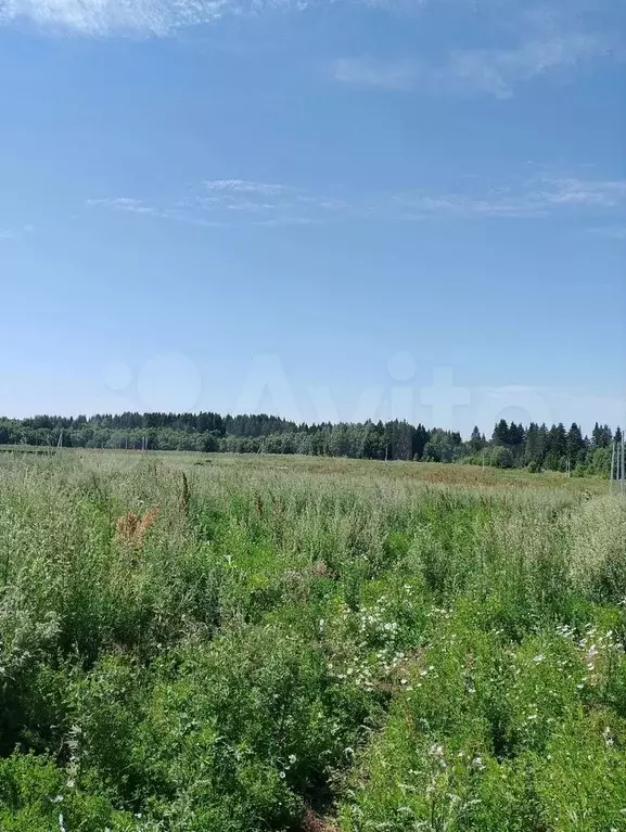 Участок 11 сот. (СНТ, ДНП) - Фото 0
