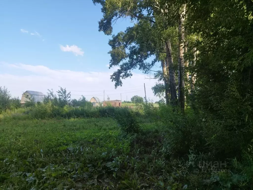 Участок в Кемеровская область, Беловский муниципальный округ, с. ... - Фото 1