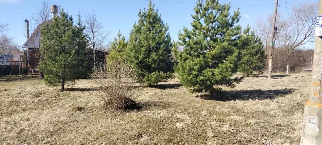 Участок в Московская область, Коломна городской округ, пос. ... - Фото 2