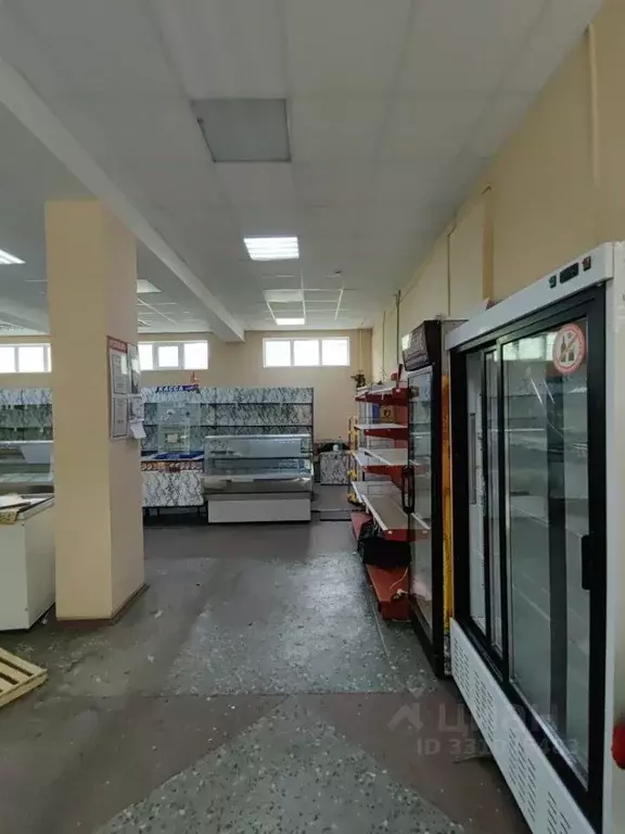Помещение свободного назначения в Брянская область, Брянский район, ... - Фото 2