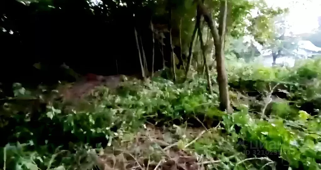 Участок в Тульская область, Донской Северо-Задонск мкр, Пристанционная ... - Фото 2