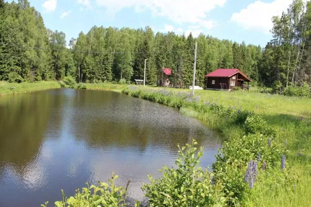 Участок в Владимирская область, Киржачский муниципальный округ, д. ... - Фото 1