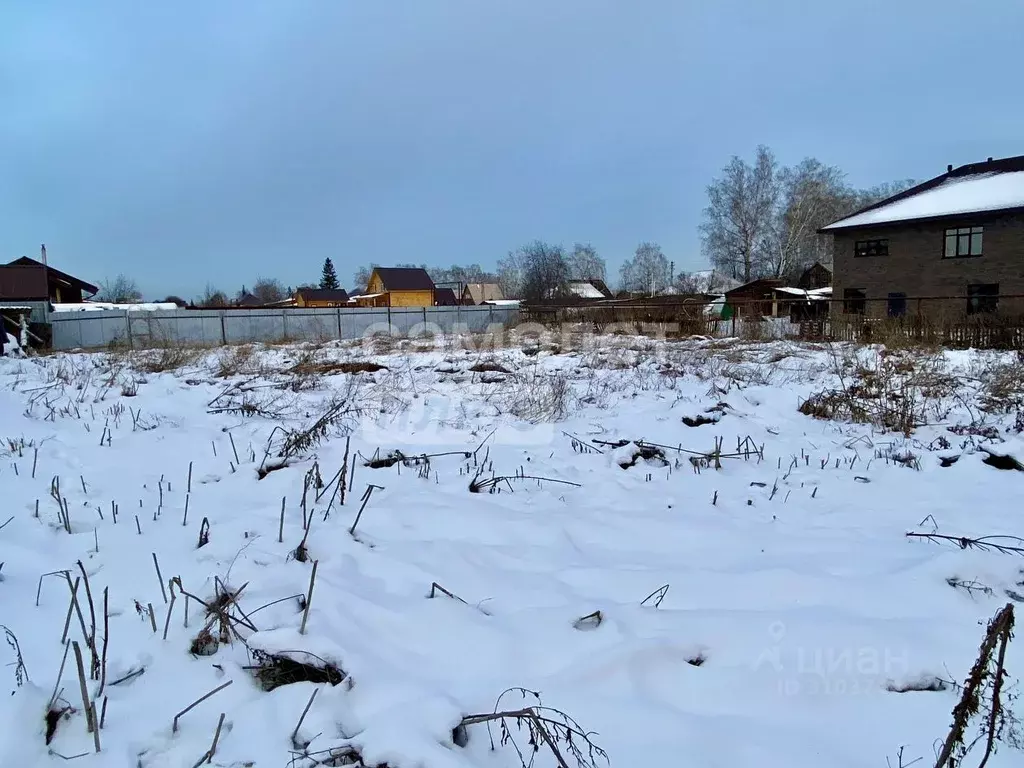 Участок в Новосибирская область, Новосибирский район, Мичуринский ... - Фото 0