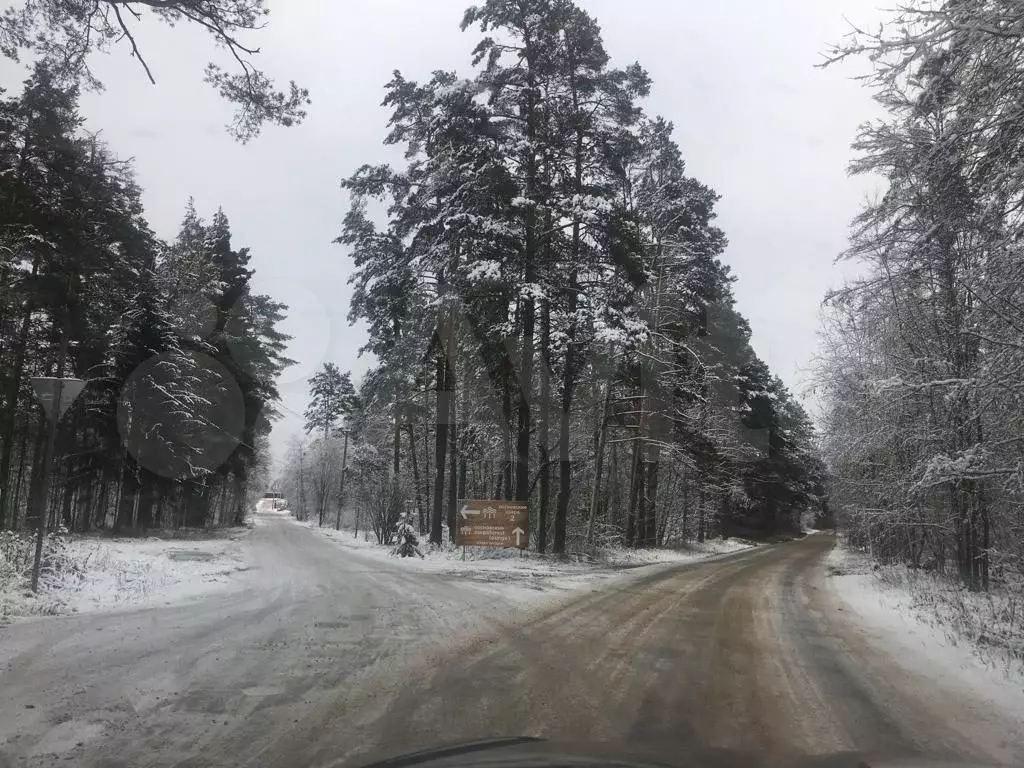 Участок 13,5 сот. (СНТ, ДНП) - Фото 1