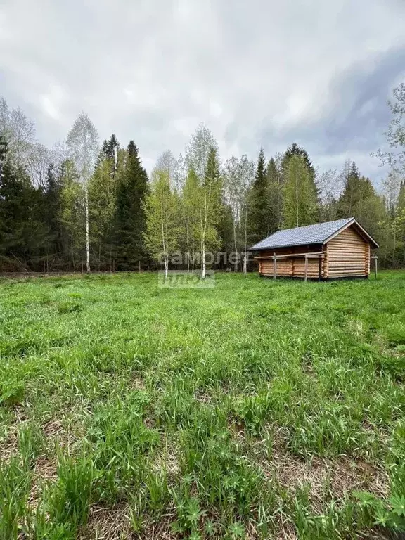 Участок в Пермский край, Луговой кв-л ул. Цветочная, 8 (17.0 сот.) - Фото 1