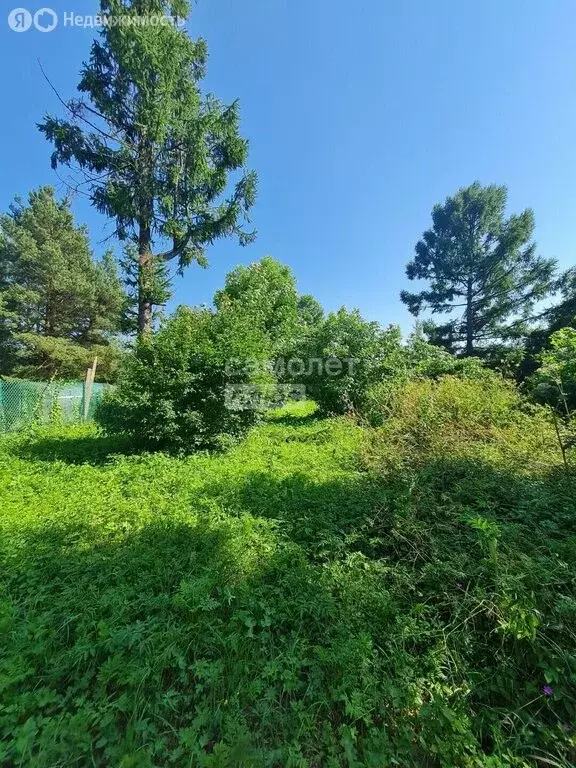 Участок в Рябовское городское поселение, садоводческий массив Рябово, ... - Фото 1