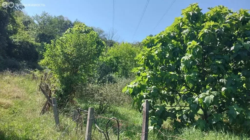 Участок в Краснодарский край, городской округ Сочи, село Верхнее Буу, ... - Фото 1