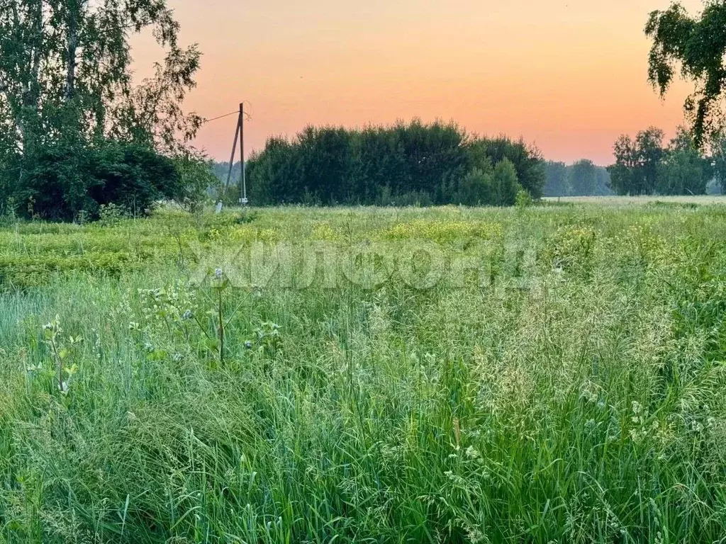 Участок в Томская область, Томский район, с. Курлек  (9.65 сот.) - Фото 2
