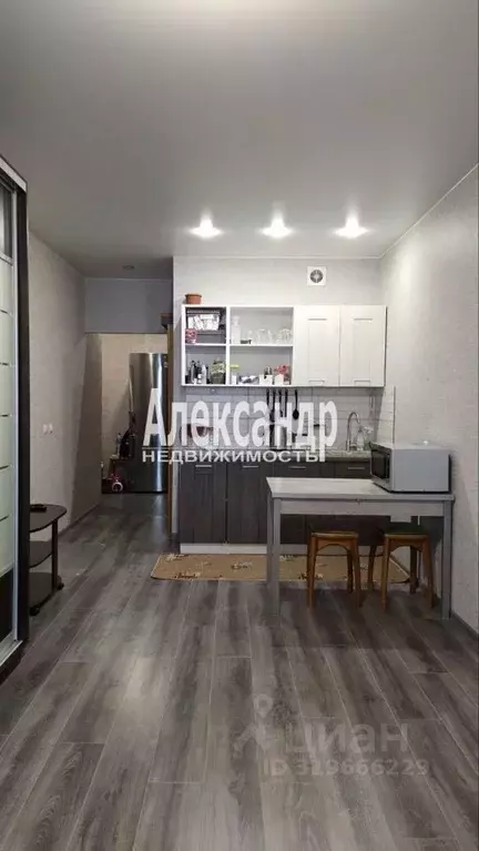 Студия Санкт-Петербург ул. Маршала Казакова, 72к1с1 (29.2 м) - Фото 0