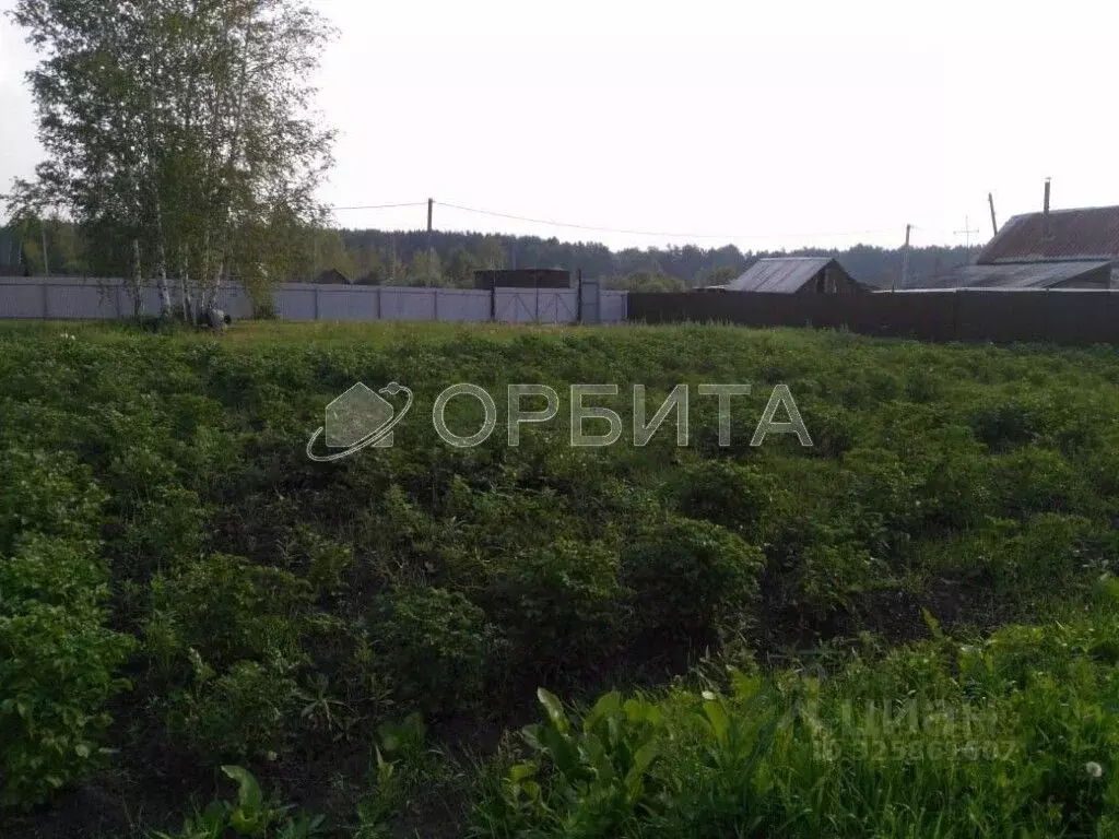 Участок в Тюменская область, Тюменский муниципальный округ, пос. ... - Фото 2