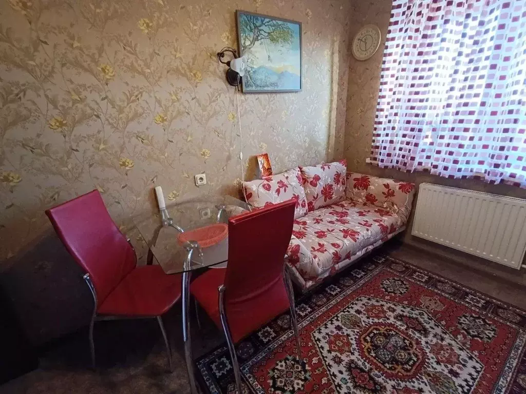 1-к кв. Санкт-Петербург ул. Турку, 11к2 (30.5 м) - Фото 2