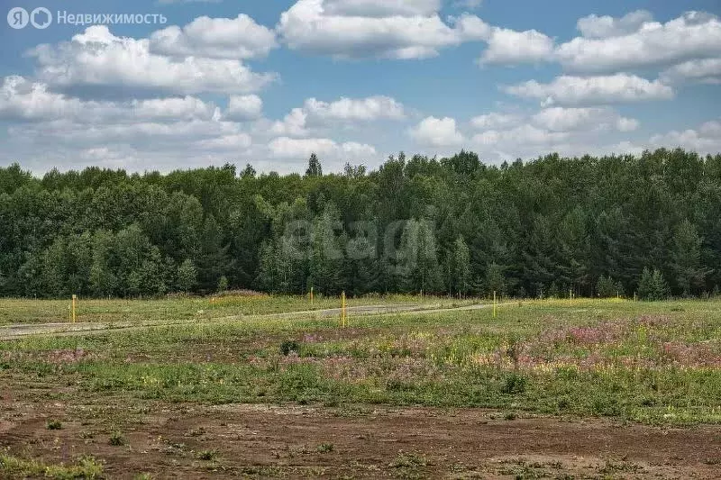 Участок в Куса, посёлок Запруда, улица Буревестника (10 м) - Фото 1