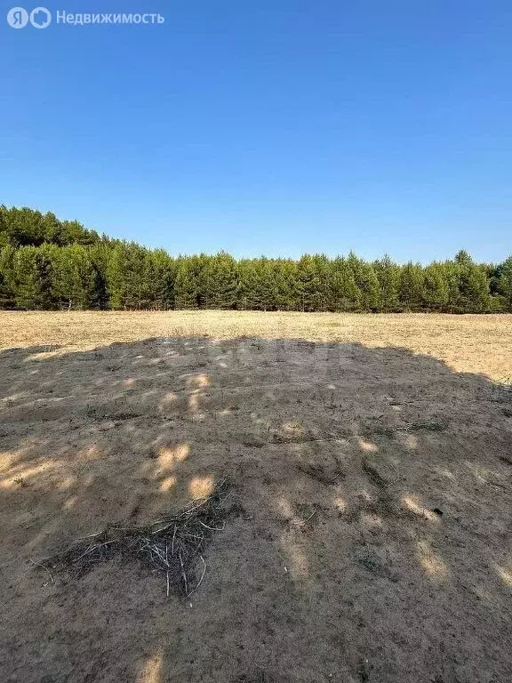 Участок в посёлок городского типа Усть-Баргузин, местность Лопатки ... - Фото 1