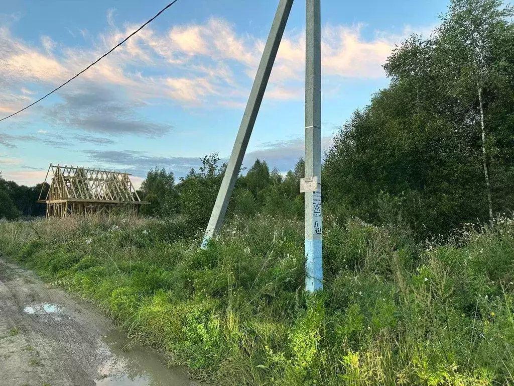 Участок, 10 сот., поселения (ижс) - Фото 2