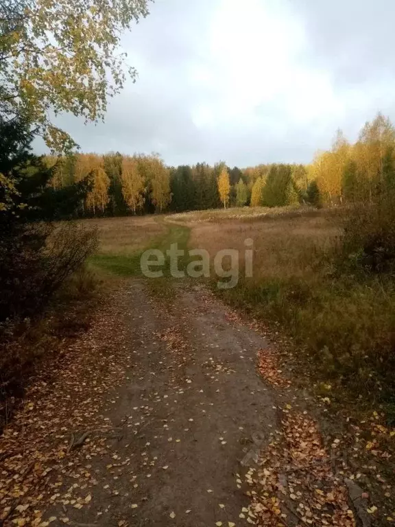 Участок в Свердловская область, Нижний Тагил ул. Шаумяна (7.0 сот.) - Фото 0