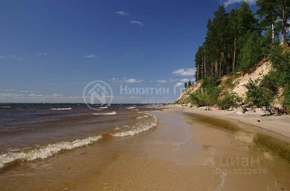 Участок в Нижегородская область, Сокольский муниципальный округ, д. ... - Фото 0