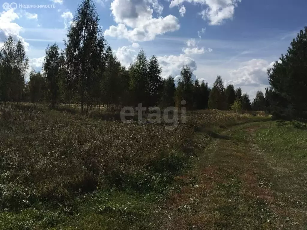 Участок в Пречистое, Школьная улица (16 м) - Фото 0