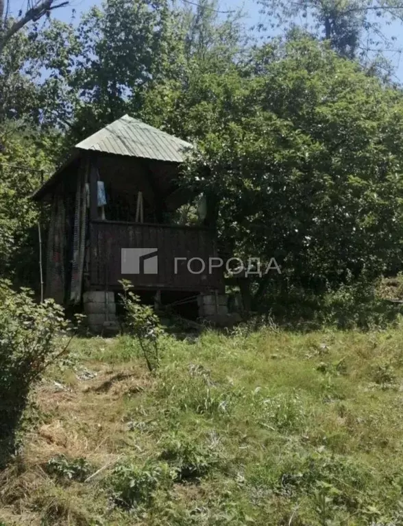 Участок в Краснодарский край, Сочи городской округ, с. Пластунка, ... - Фото 2