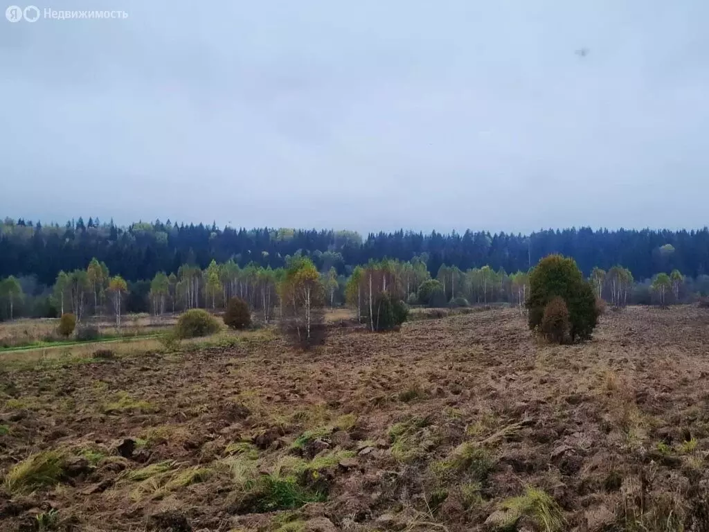 Участок в Московская область, Можайский муниципальный округ, деревня ... - Фото 1
