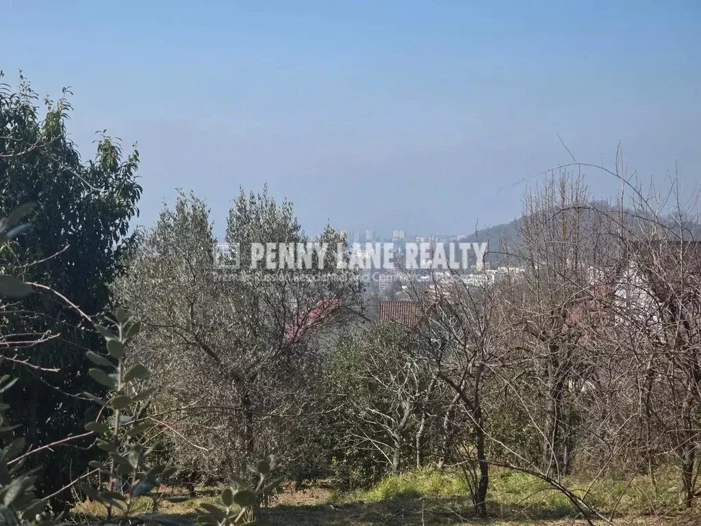 Участок в Краснодарский край, Сочи ул. Ворошиловградская (8.0 сот.) - Фото 1