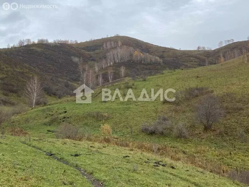 Участок в село Солонешное, Полевая улица, 2 (16230 м) - Фото 0