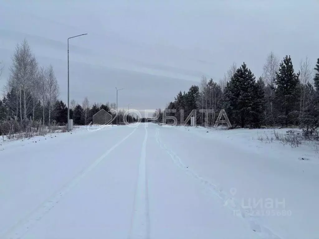 Участок в Тюменская область, Тюменский муниципальный округ, ... - Фото 1