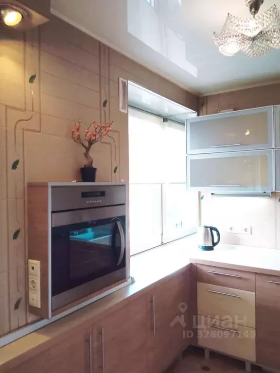 3-к кв. Новосибирская область, Новосибирск ул. Челюскинцев, 14 (60.0 ... - Фото 2