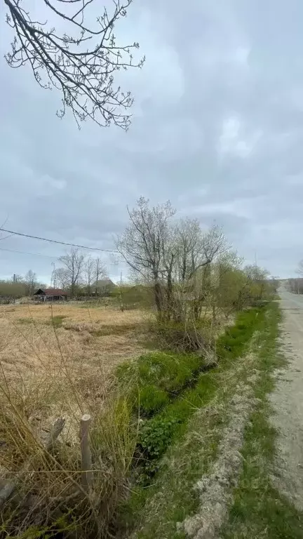 Участок в Сахалинская область, Долинск  (14.6 сот.) - Фото 2