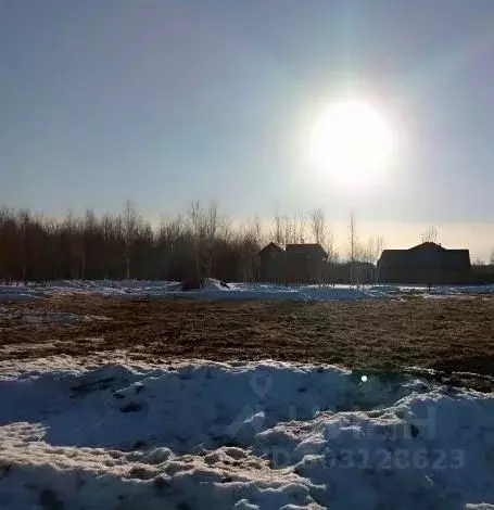 Участок в Московская область, Раменский городской округ, 16/1 кв-л 5 ... - Фото 0