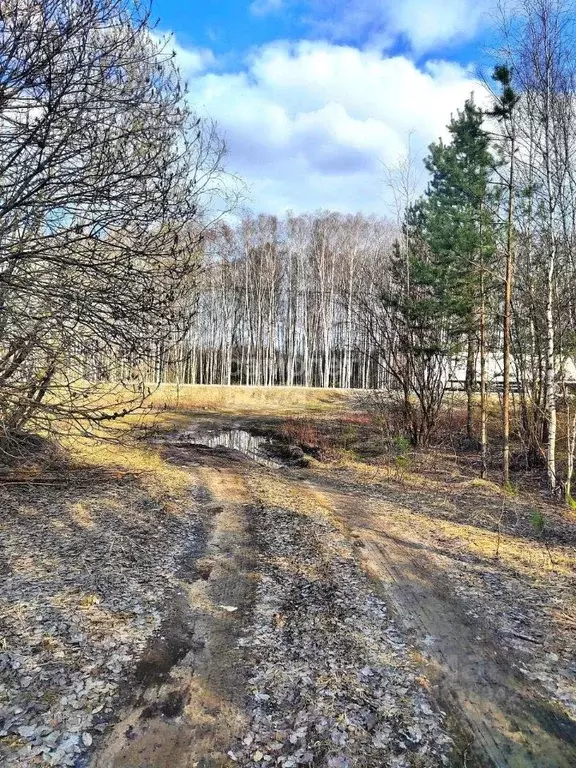 Участок в Татарстан, Зеленодольск Трудовик садовое товарищество,  (5.0 ... - Фото 0