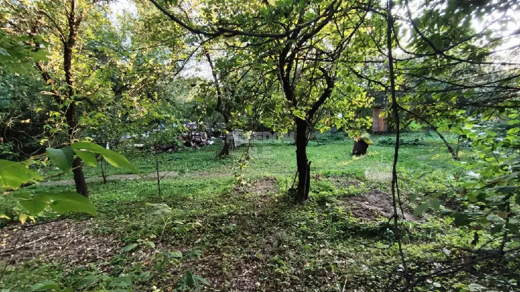 Продается участок в СНТ Садовод-1 - Фото 2