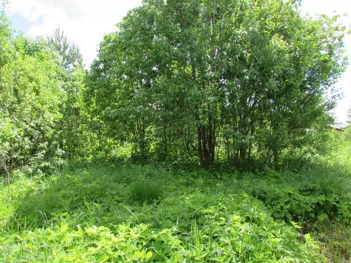 Участок в Республика Коми, Сыктывкар (6 м) - Фото 0