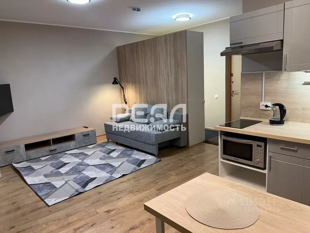 Студия Санкт-Петербург пос. Парголово, проезд Толубеевский, 8к2 (32.2 ... - Фото 2