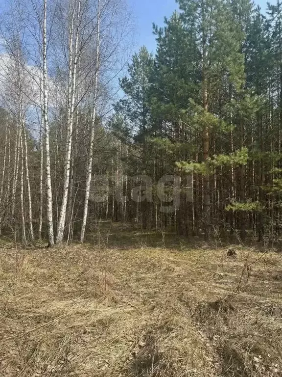 Участок в Свердловская область, Кировградский муниципальный округ, ... - Фото 1