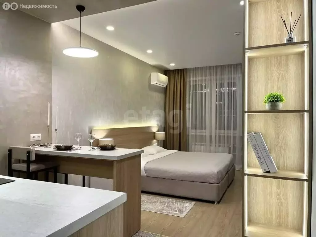 Квартира-студия: Красноярск, улица Партизана Железняка, 38 (27 м) - Фото 1