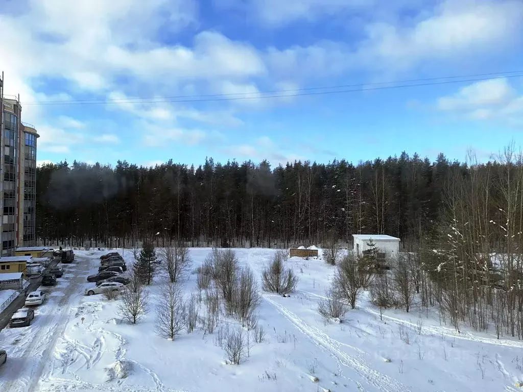 1-к кв. Ленинградская область, Всеволожск ул. Севастопольская, 2к1 ... - Фото 2