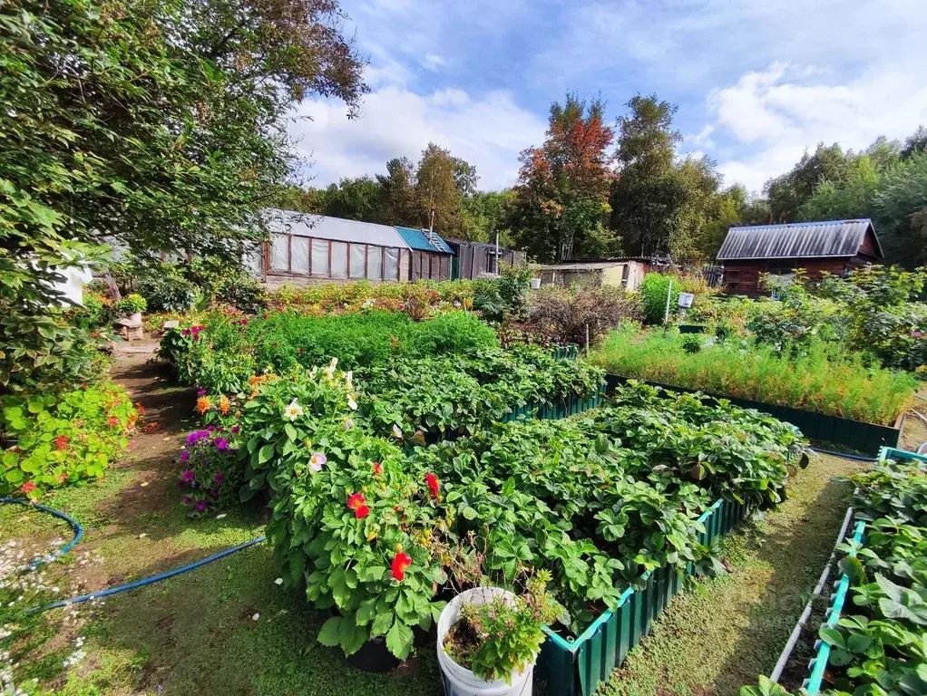 Участок в Камчатский край, Елизовский муниципальный округ, ... - Фото 1