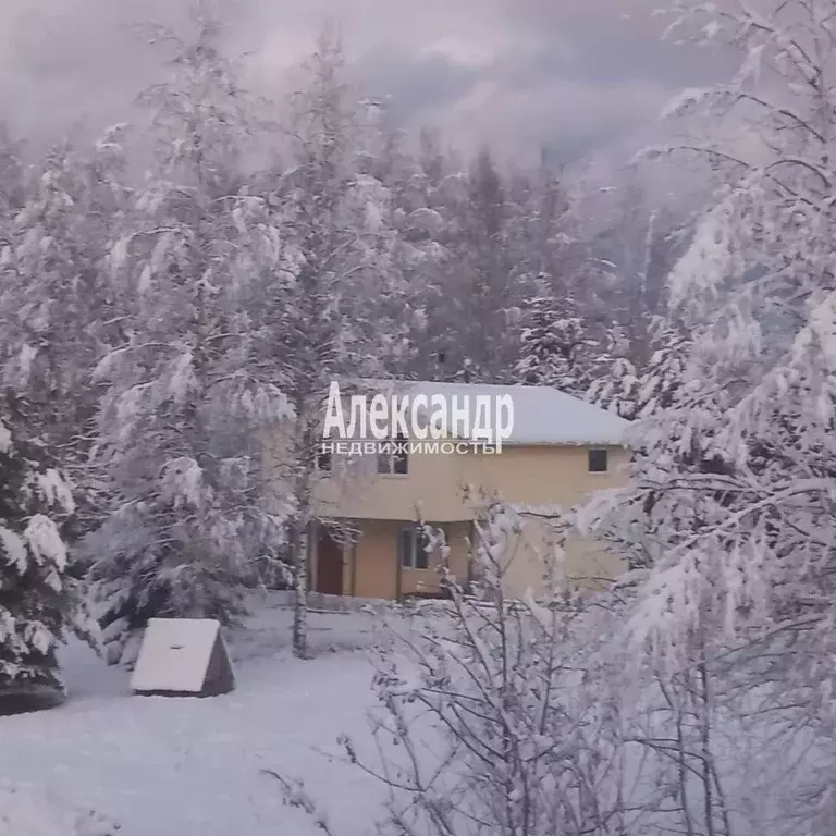 Дом в Ленинградская область, Ломоносовский район, Пениковское с/пос, ... - Фото 1