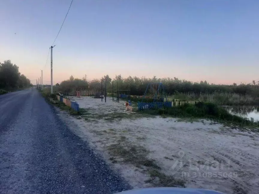 Участок в Тюменская область, Тюмень Царево садовое товарищество, ул. ... - Фото 1