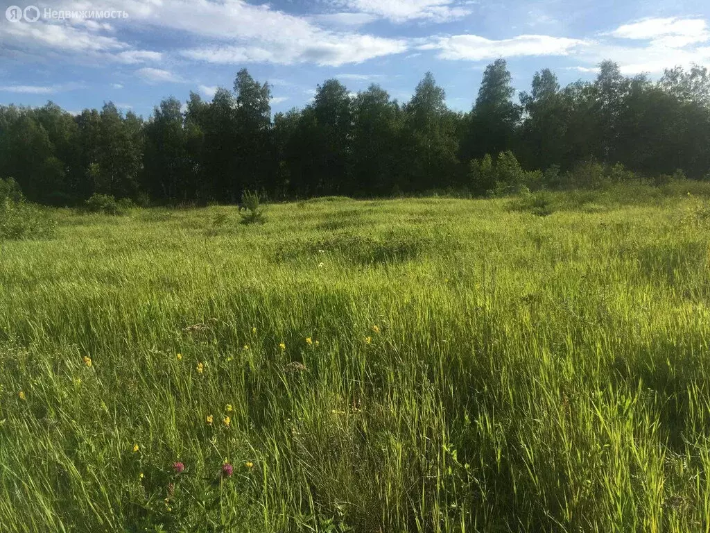 Участок в Ялуторовский район, СНТ Берёзка (20 м) - Фото 0