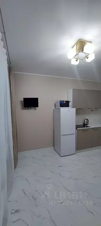 1-к кв. Новгородская область, Великий Новгород Большая Московская ул., ... - Фото 1