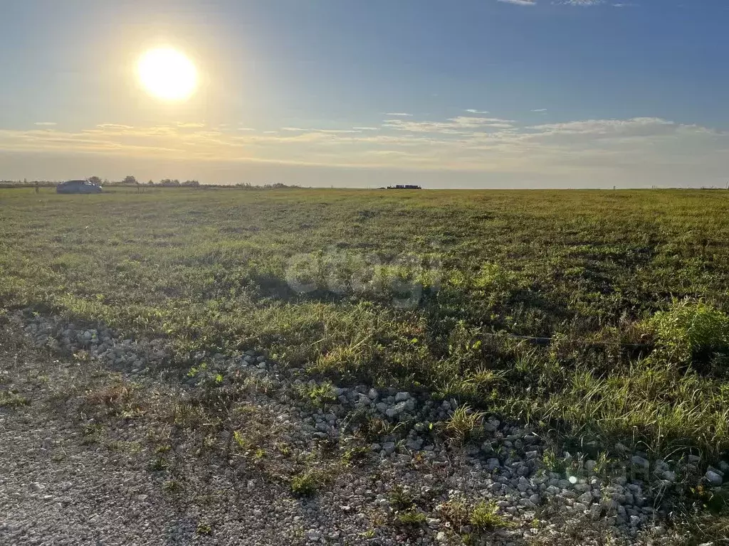 Участок в Тульская область, Тула городской округ, д. Ширино, Скворцово ... - Фото 1